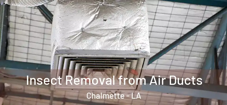  Insect Removal from Air Ducts Chalmette - LA