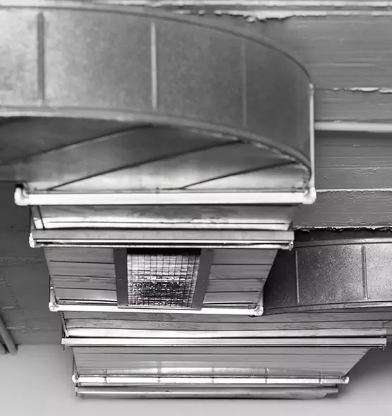 Professional Air Duct Pest Removal in Chalmette, LA