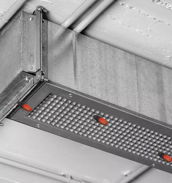 Affordable Insect Removal from Air Ducts in Chalmette, LA